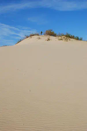 The top of Parnidis dune