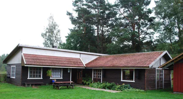 Mushroom soup, coffee, piece of pizza and apple cake. What a great lunch!