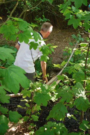 At the Bamboo garden Indo Suka Import we took a walk through the bamboo 