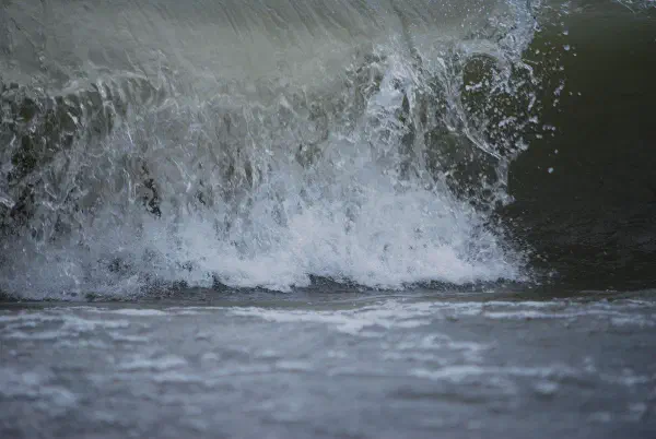 Rondeau Provincial Park
