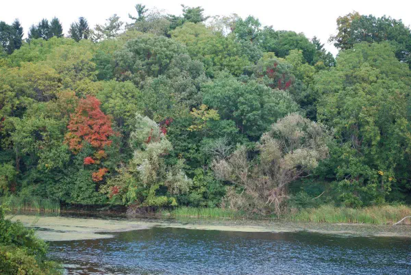 The fall is about to start at Geddes Pond