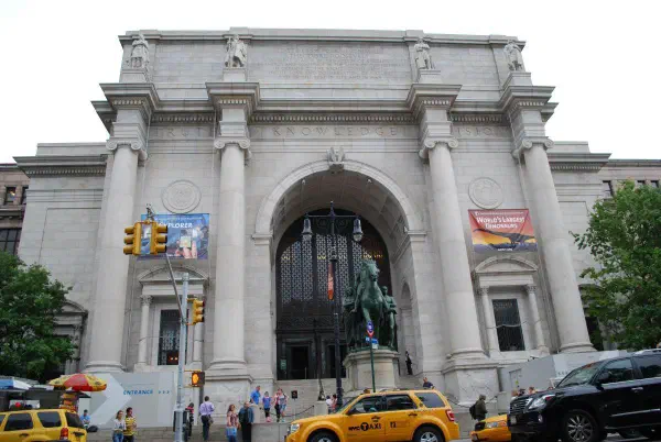 The American Museum of Natural History