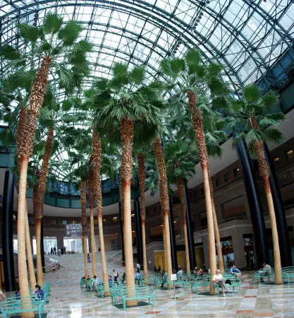 Inside Winter Garden just next to Ground Zero