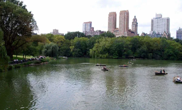 The Lake at Central Park