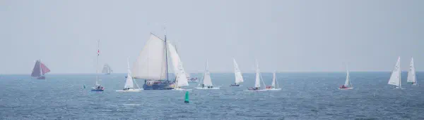 Lots of activity on the IJmeer