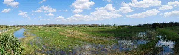 Overlooking one of the experiments at Loxahatchee