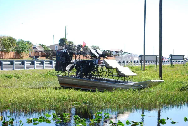 At Gator Park we took an airboat ride through the marshes