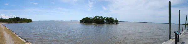 Enjoying the view before a boat ride to the 10,000 islands at Everglades City