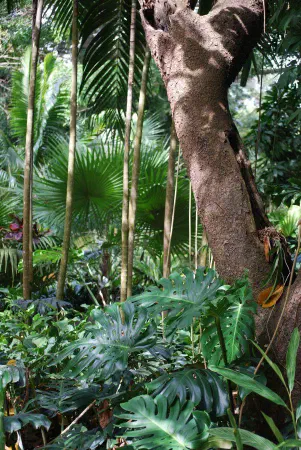 Flamingo Gardens, Davie, FL