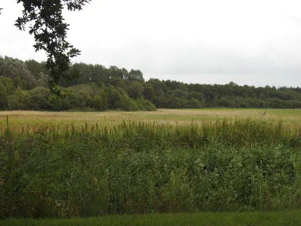 Our view our vacation home at Lauwersoog