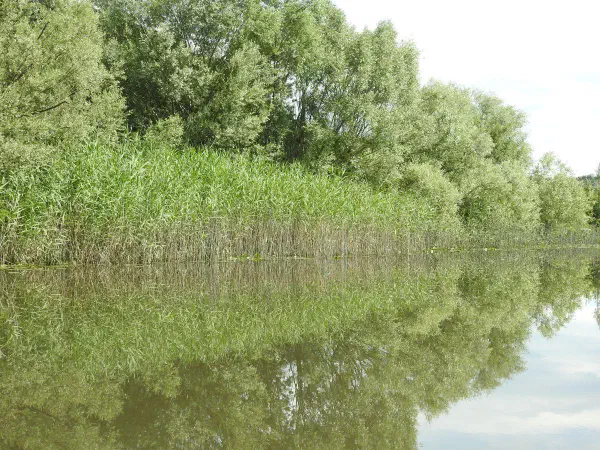 On our way to Skadar Lake