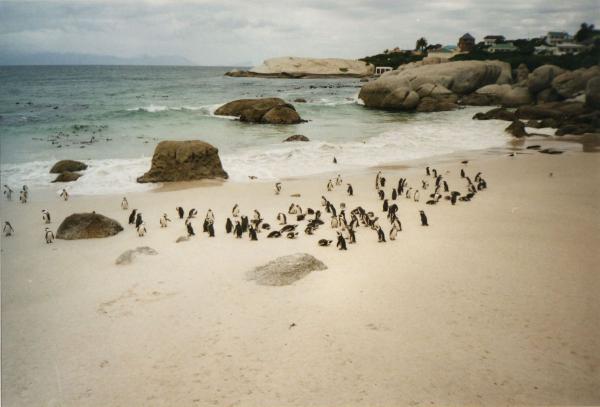 South Africa 2001