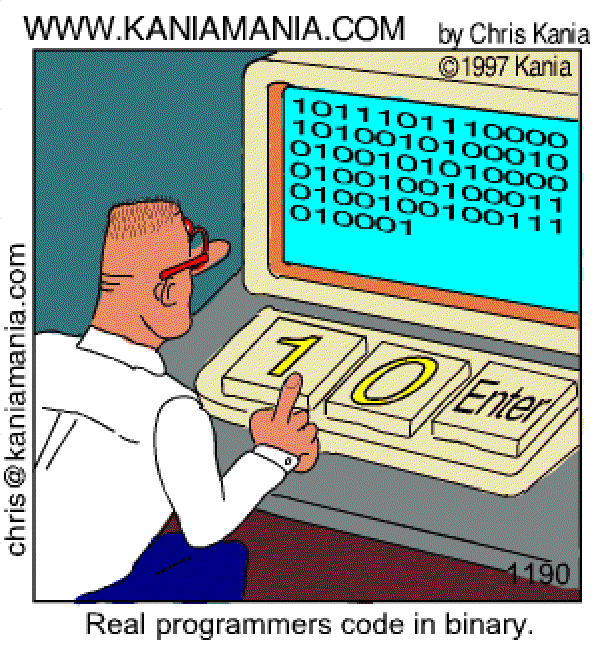 "Real Programmers code in binary"