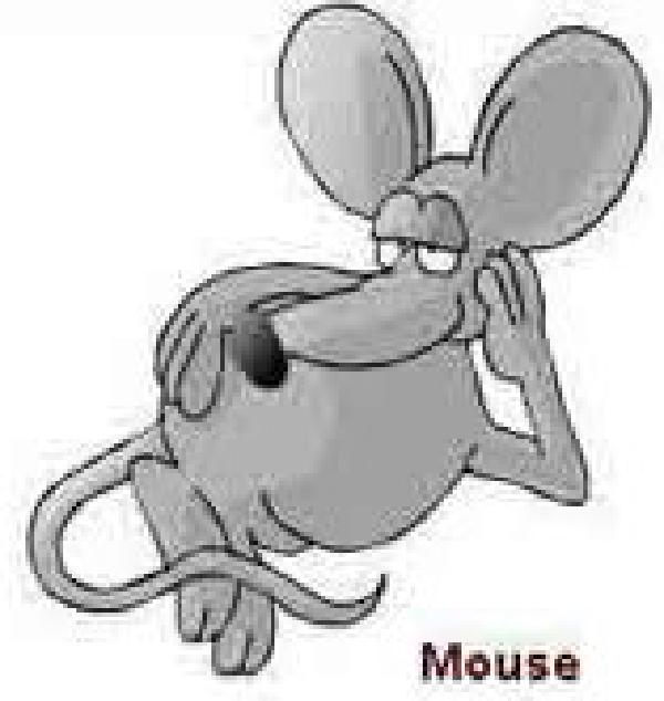 Technology for Country Folks