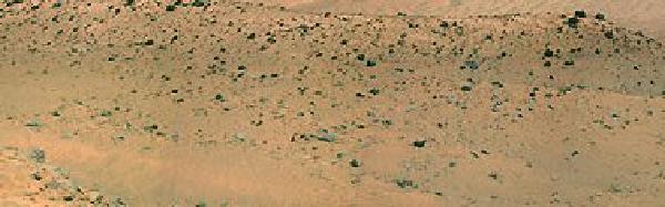 Life on Mars? ... Picture says yes