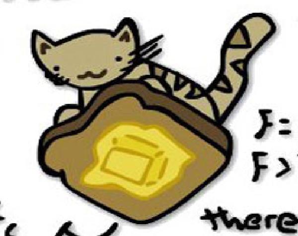 Make a wormhole out of a cat