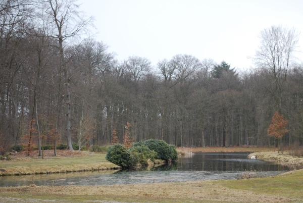 Boekesteyn, Schaep en Burgh