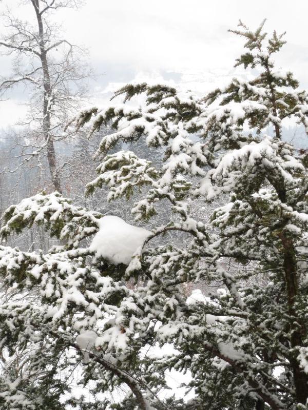 Austria - New Year's and Skiing