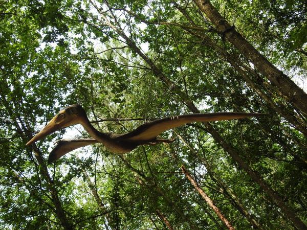 Dinosaurier-Freiluftmuseum Altmühltal