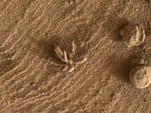 Curiosity Finds a Martian 'Flower'